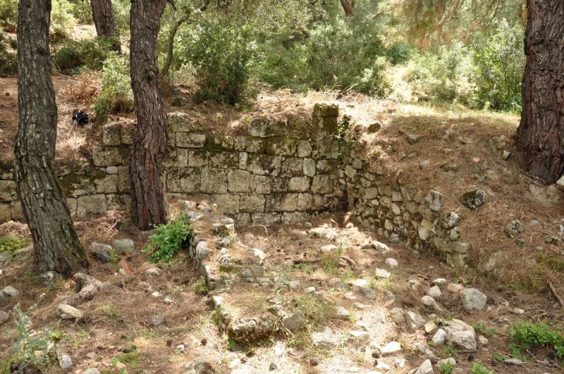 Colophon — ancienne ville ionienne près d'Izmir