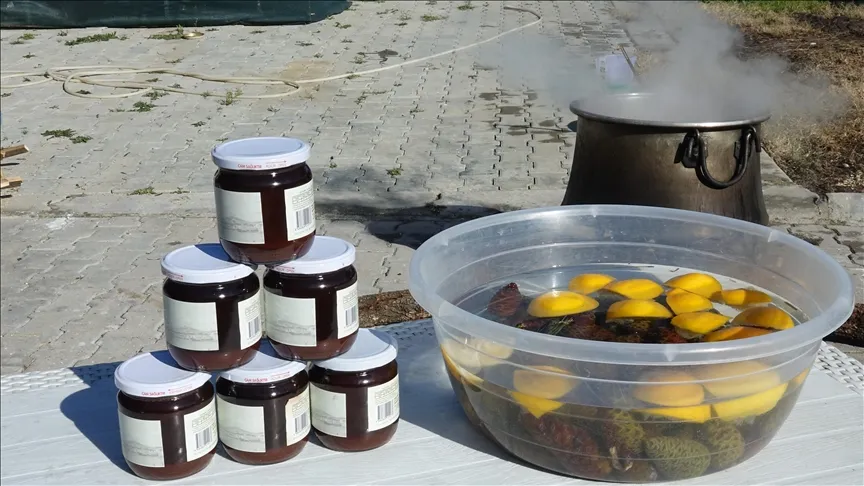 Em Ayvalık, as pinhas cozidas durante 8 horas em lume de lenha com o trabalho das mulheres transformam-se em xarope